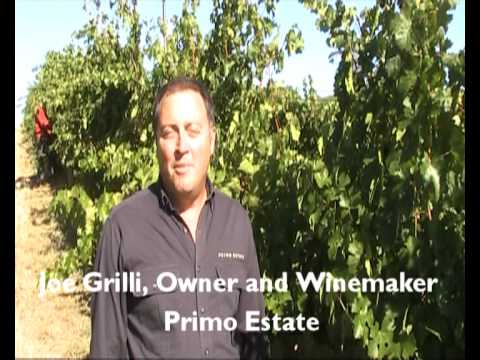 JOSEPH Moda - Amarone style winemaking