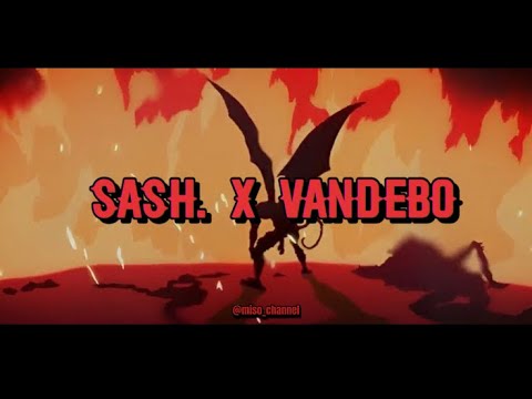 sash. Vandebo - Suicide (lyric video)