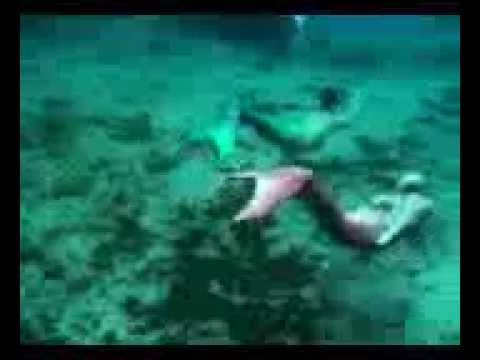 Mertailor Mermaid Tail in Action Underwater