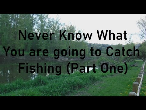Never Know What you are going to Catch, Fishing.( Part One)