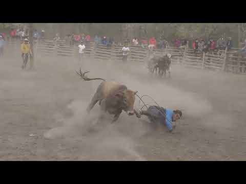 hierra en el puesto de la familia Jaime 2022