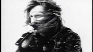 Running Wild in the 21st Century - Helix