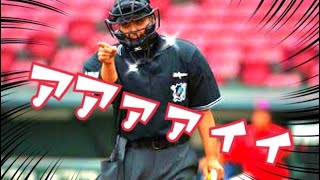 [分享] 蔡其昌：後年開始有好球帶挑戰