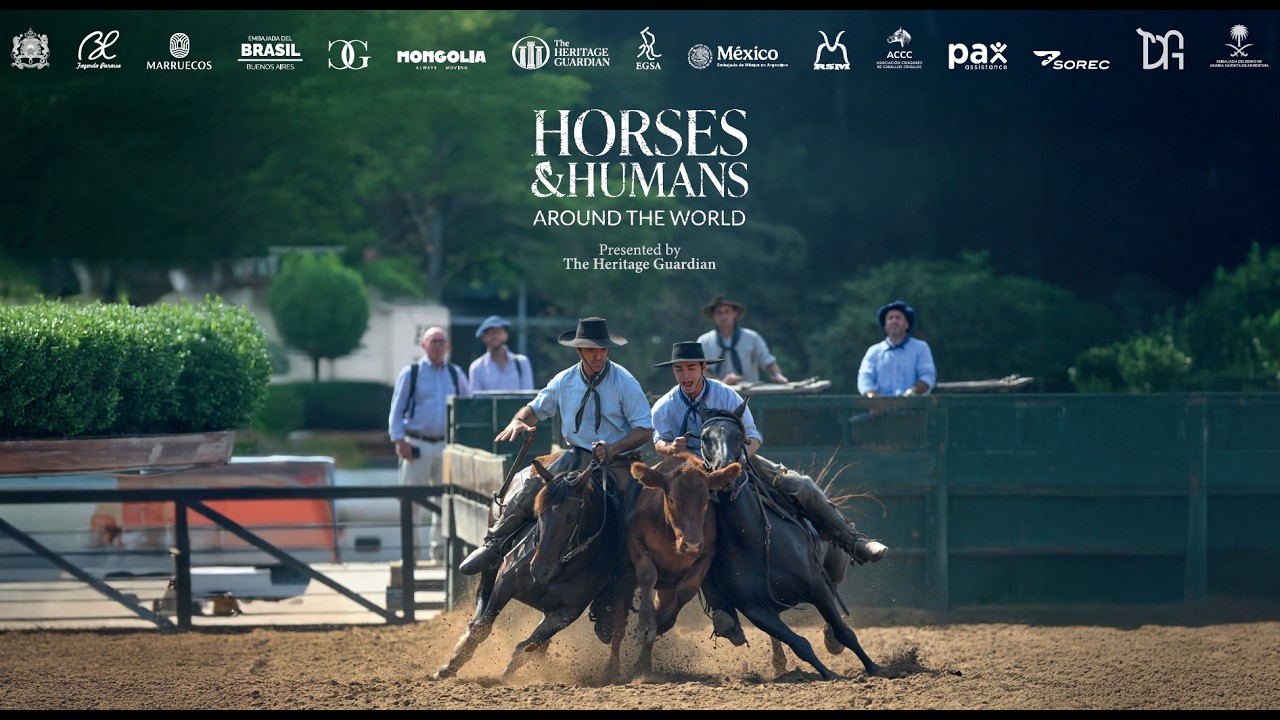 Horses & Humans Official Trailer
