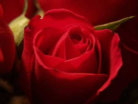 Mary Ramia - Tu corazon y el mio