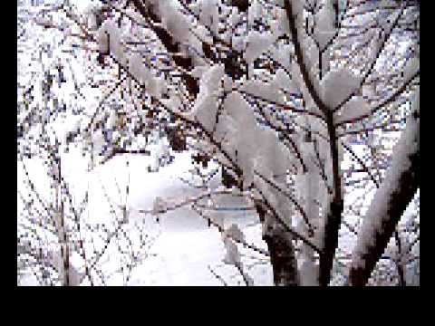 05 03 2006 vom Balkon aus nach 2 Tagen schneien