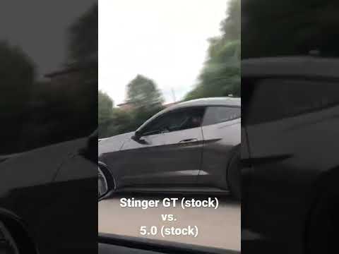 Stock Kia stinger GT VS. stock mustang 5.0  #atlanta #racing #fyp