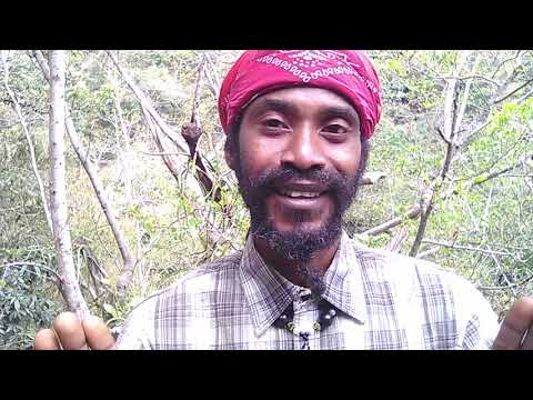 Unlocking Our Divine Coding.. Part One