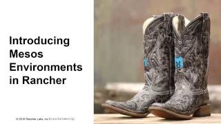 Introducing Apache Mesos Environments in Rancher - June 2016 Online Meetup