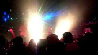 Monster Paws "Ray of Light"