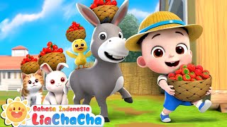 Download lagu Jalan-jalan di Peternakan | Lagu Hewan di Peternakan🐮 | Lagu Anak-anak | LiaChaCha Bahasa Indonesia mp3 Download lagu Jalan-jalan di Peternakan | Lagu Hewan di Peternakan🐮 | Lagu Anak-anak | LiaChaCha Bahasa Indonesia mp3