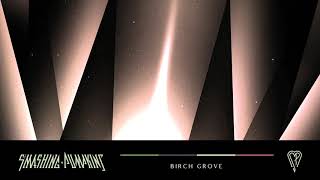 Birch Grove Music Video