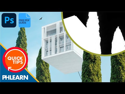 How to Set Up and Use a Wacom Tablet