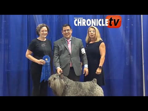 Table Talk Live! at Houston – Joey Washneski and Pilar Kuhn