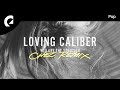 Loving Caliber - You Are The Solution (Chez Remix)