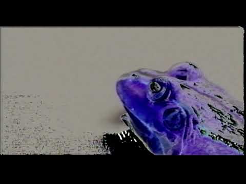 Scott McMicken and THE EVER-EXPANDING - "Ace In The Hole" [Official Video]