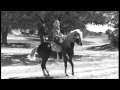 Koko The Miracle Horse of The Movies - Rex Allen Jr. Koko The Miracle Horse of The Movies