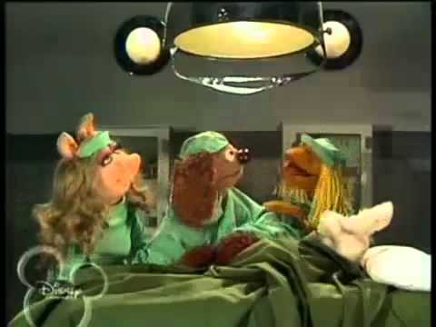 The Muppet Show   Veterinarian s Hospital  Bunny