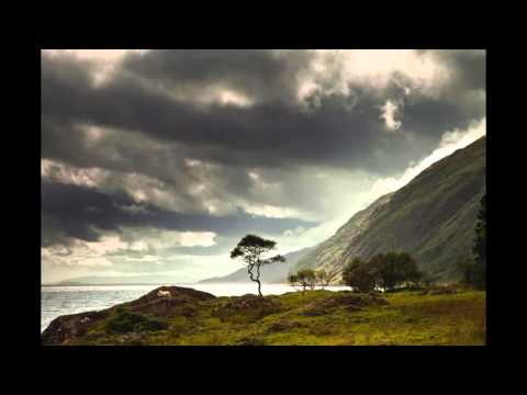 BRADDU - IDĄC PRZEZ BURZĘ / CZARNA OWCA : NA ŻYWO Z PIEKŁA