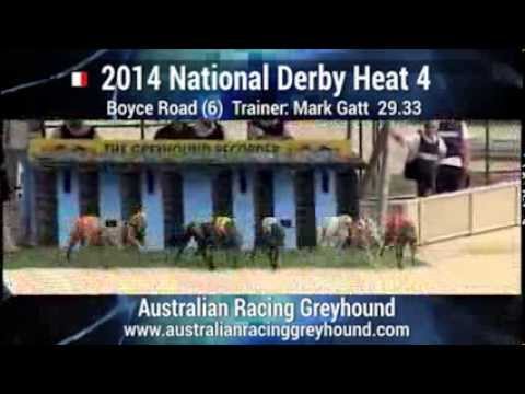 2014 National Derby Heat 4