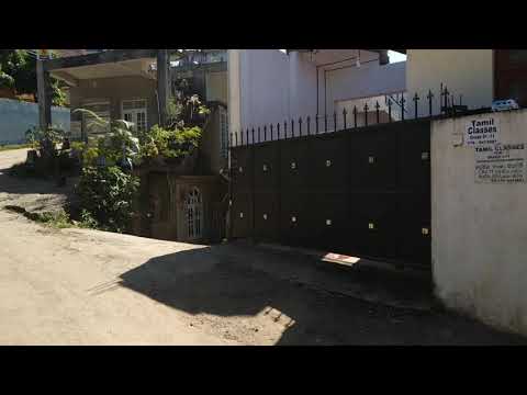 Sri Lanka - kandy, monkeys