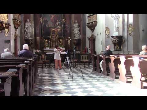 [Luca Ricci] - Haiku II (2025) - ForFest Kroměříž