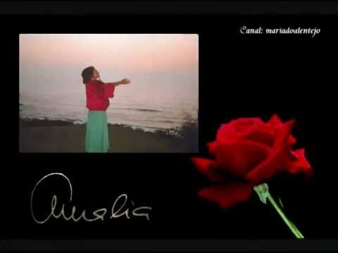 Amália - "Rosa de Fogo"