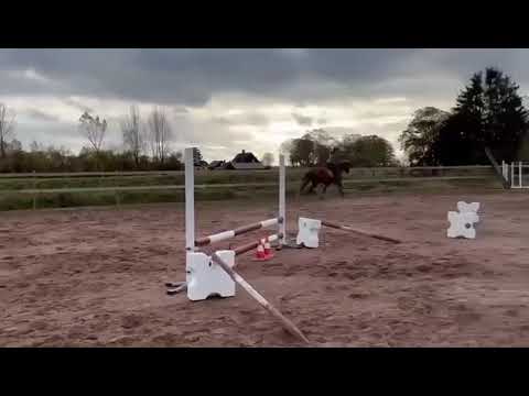 Ballet Girl f.20 e. Baloutaire PS