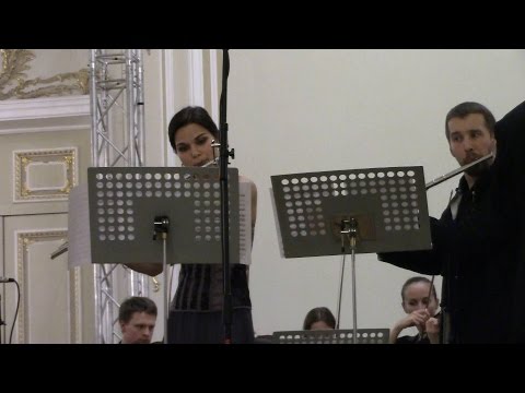 G. P. Telemann - Concerto for two flutes, strings & basso continuo in E minor TWV 52:E1