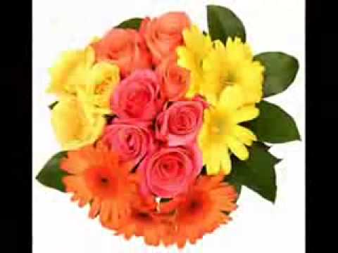 une belle___________Michael faraj