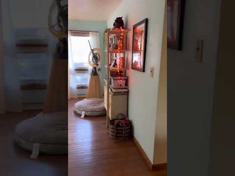 3 BDRM HOUSE NEAR BRYAN PARK AVAIL JULY 2027.   Monthly rent $1,550 property video