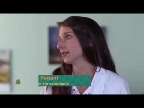 "4 Zampe in Famiglia" - Nutrizionista Monge (Puntata 4)