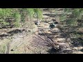 Logging In Mississippi Is Interesting ️ See For Yourself
