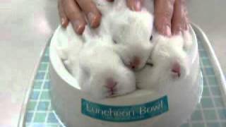 Go ahead, give it a shot.