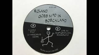 Roland Goes Mad In Boscaland - Capricorn 15. Boscaland Records