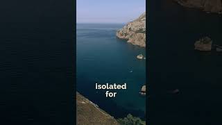 Download lagu A single person could destroy this entire island mp3