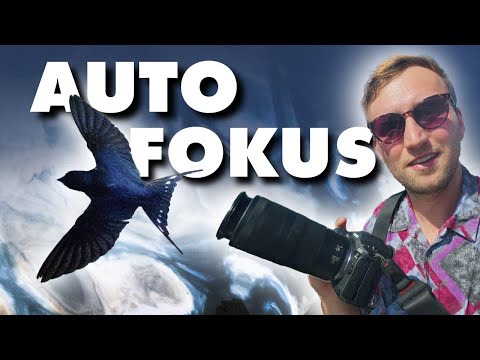 SHARP images with any camera | 3 autofocus tricks for bird photography