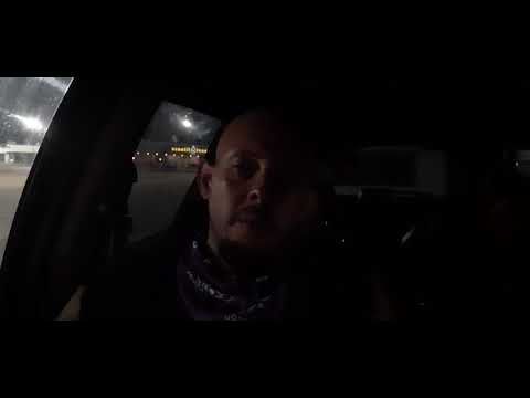 cats are awesome humans not so much