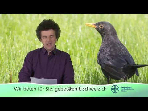 Grüss Gott - Stefan Zolliker "Verpasse nicht den Augenblick"