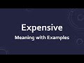 Expensive Meaning with Examples