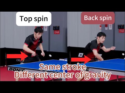 Grand Slam Champion Zhang Jike Reaffirms: One Backhand Motion for Both Backspin and Topspin