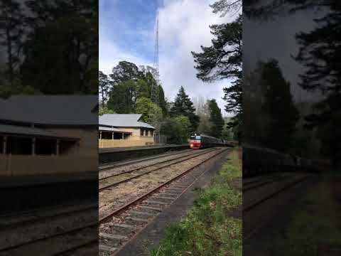 TRAINS AM22 6PM9 with brand new CSR’s! Introducing CSR13 & CSR14 4th October 2021