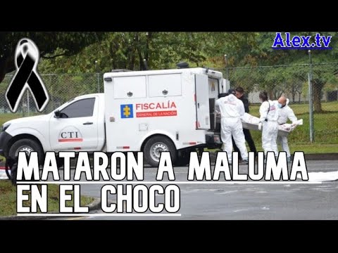 MATARON A MALUMA PERO NO ERA EL CANTANTE DE MUSICA URBANA (Lo abatió el ejercito)