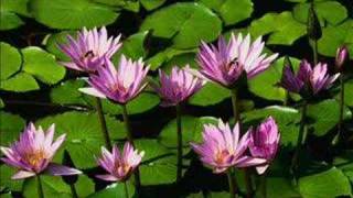 gone the rainbow- peter, paul, and mary