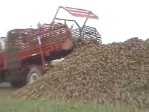 Veramme: Bieten lossen.