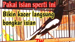 Download lagu AMPUH !!!KACER KONSLET BONGKAR FULL ISIAN MENAIKAN EMOSI KACER KAMU SAMPAI ON NEMBAK mp3 Download lagu AMPUH !!!KACER KONSLET BONGKAR FULL ISIAN MENAIKAN EMOSI KACER KAMU SAMPAI ON NEMBAK mp3