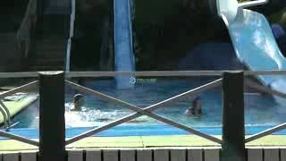 preview picture of video 'The Big Splash fast hydroslide at Waingaro Hot Springs, Waikato, New Zealand'