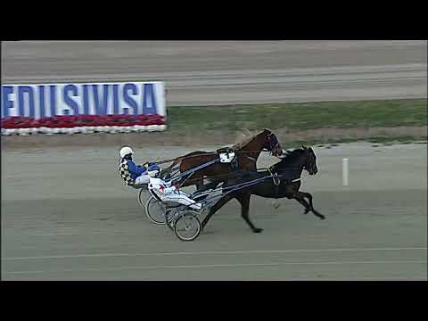 Napoli Trotto 12/02/2023 - 2ª prova di qualifica