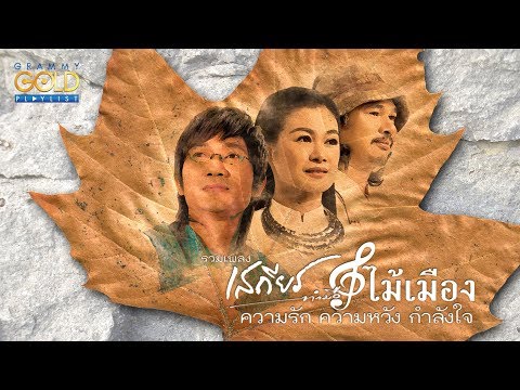 ทำไมอ่อนแอเบียร์ สำหรับผู้หญิงยาเชื้อโรคคิดเห็น