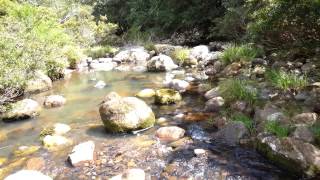 preview picture of video 'Coopers Creek, Wanganui Gorge, Huonbrook'